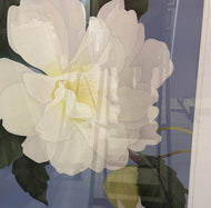 Ed Cota — White Magnolia