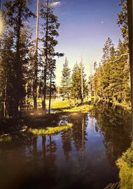 Unknown Photographer — Meadow Vista