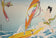 Tesumi Minoh — Windsurfer