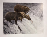 Bears on the Hunt