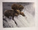 Bears on the Hunt