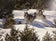 Coyotes on the Run