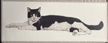 Jacquie Marie Vaux — Black and White Cat