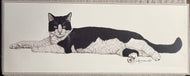 Jacquie Marie Vaux — Black and White Cat