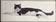 Jacquie Marie Vaux — Black and White Cat
