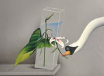 Jean-Paul Donadini — Swan
