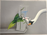 Jean-Paul Donadini — Swan