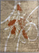 John Visser — Abstract I