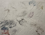 Monir — Palomas