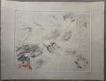 Monir — Palomas