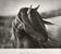 Tony Stromberg — Fierce Grace