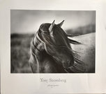Tony Stromberg — Fierce Grace