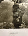 Claude Batho — Giverny 1980