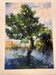 Dino Paravano — Untitled (Tree Landscape)