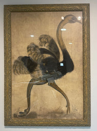 Kolene Spicher - Ostrich