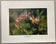 Beckett — The Wild Flower Collection