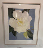 Ed Cota — White Magnolia