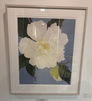 Ed Cota — White Magnolia
