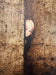 Igor Melnikov — Cracked Door