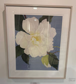Ed Cota — White Magnolia