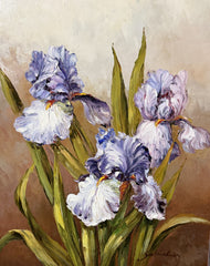 Unknown Artist — Irises