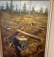 John Cahill — Forest Clearing