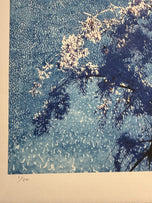 David Gallegos — Cherry Blossoms