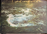 David Gallegos — Truckee River
