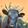 Unknown — Cow Photograph