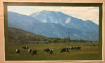 Unknown — Field Cattle
