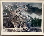 Ron Rurick — Tree in Winter