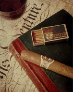 Deborah Schenck — Cigar V
