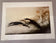 Louis Icart — Speed II