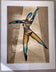 Neal Doty — Dancer