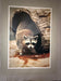 Don K Langson — Raccoon